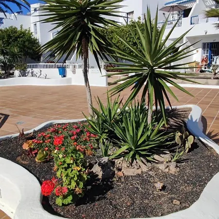 Oasis Azul, Vista Oceano. Apartment Puerto del Carmen (Lanzarote)